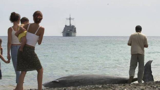 El modelo canario de protección de zifios despierta el interés mundial